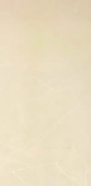Puccini Marfil 24X48 Wall And Floor Tile